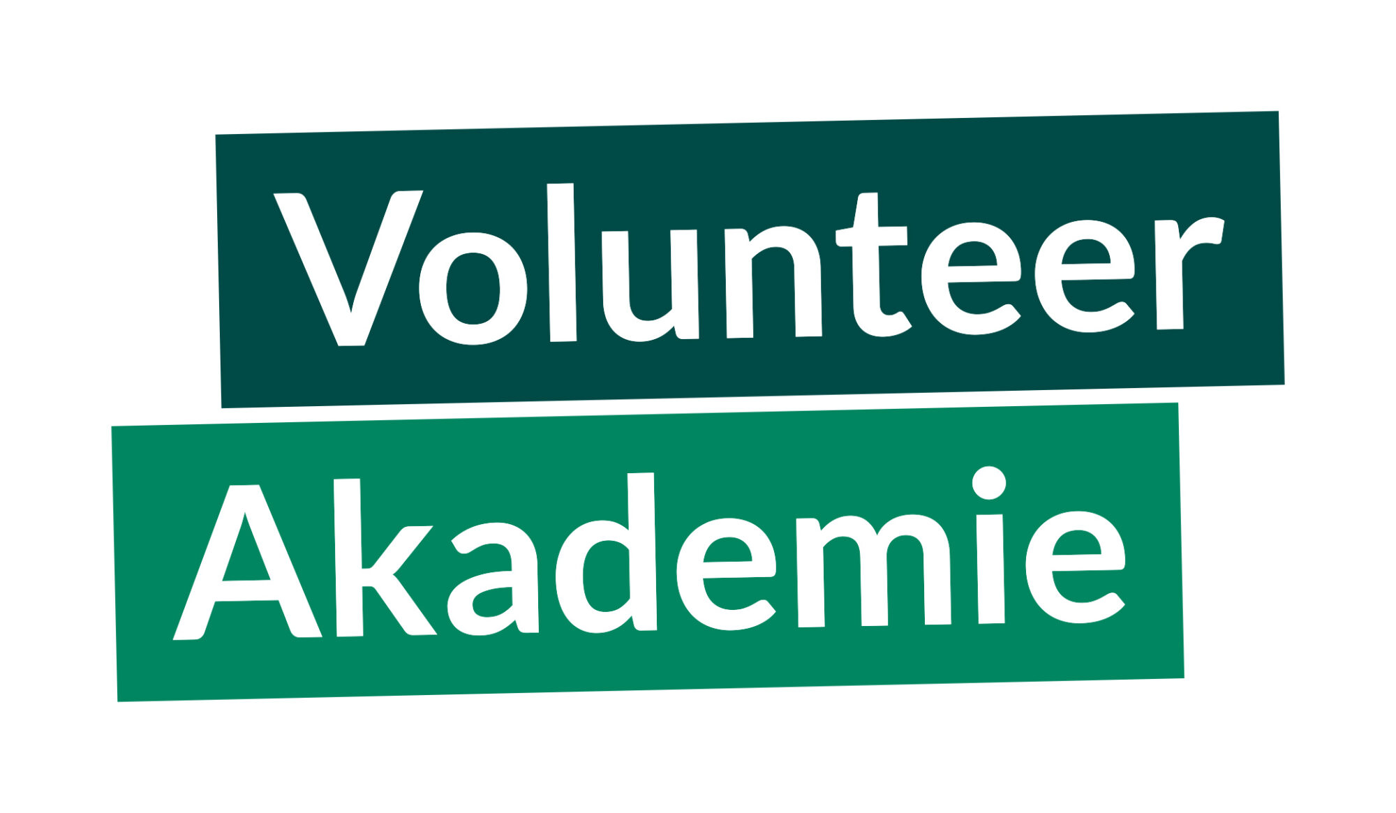 Du machst den Unterschied, auf dem Platz und darüber hinaus – Die Volunteer Akademie zur Fußball Europameisterschaft in Deutschland