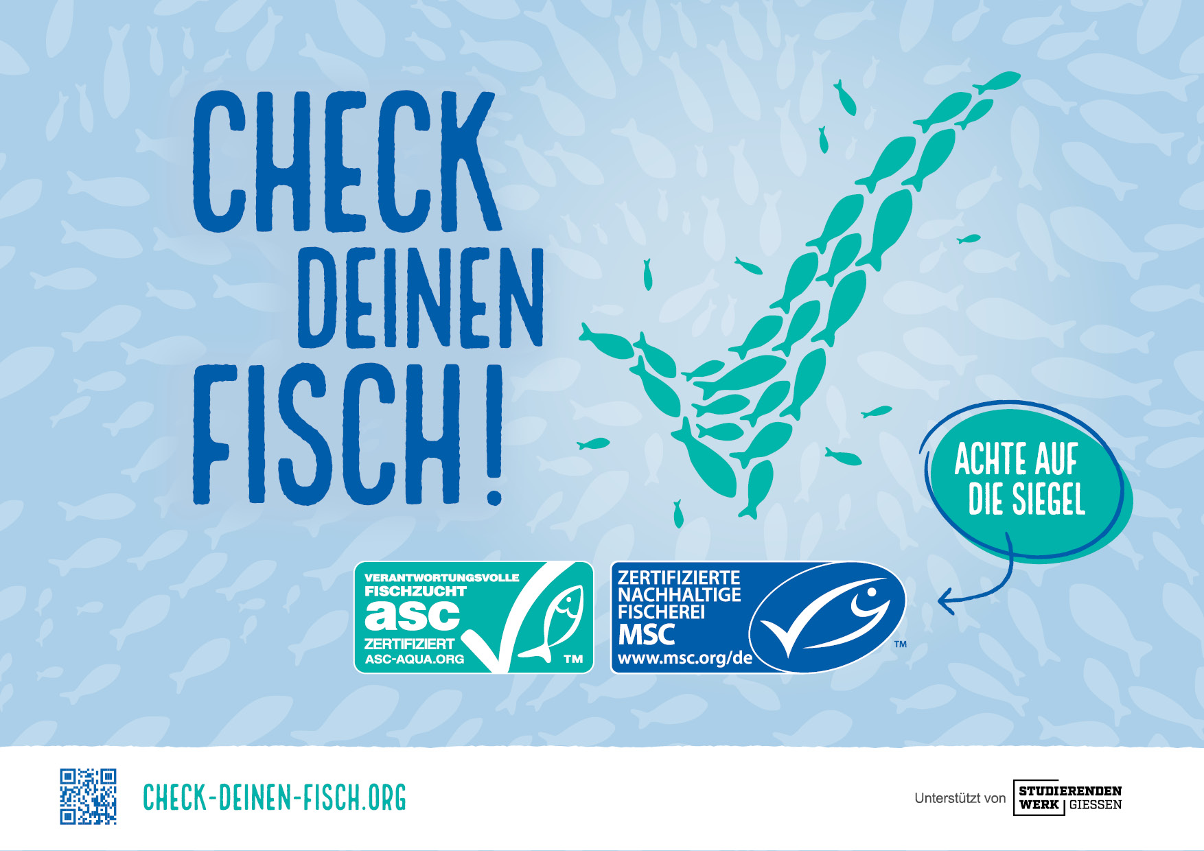 Check deinen Fisch! – Die ultimative Checkliste für den nachhaltigen Fischeinkauf