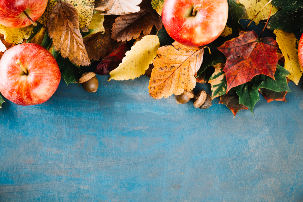 Herbst-Blues? Kuscheln hilft!