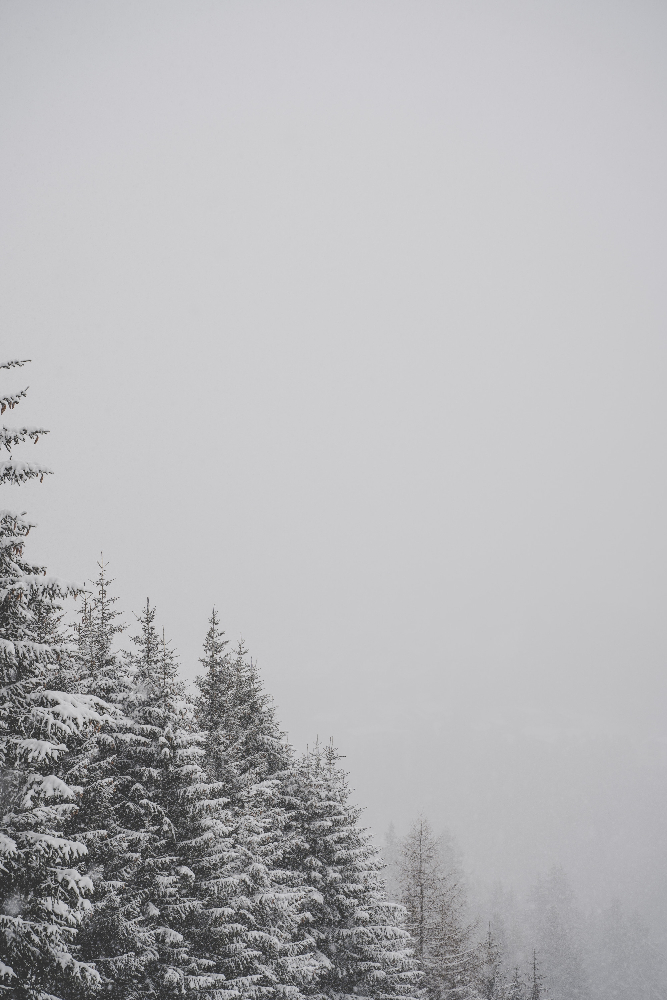 Tipps gegen den Winterblues – So macht man die graue Jahreszeit bunter