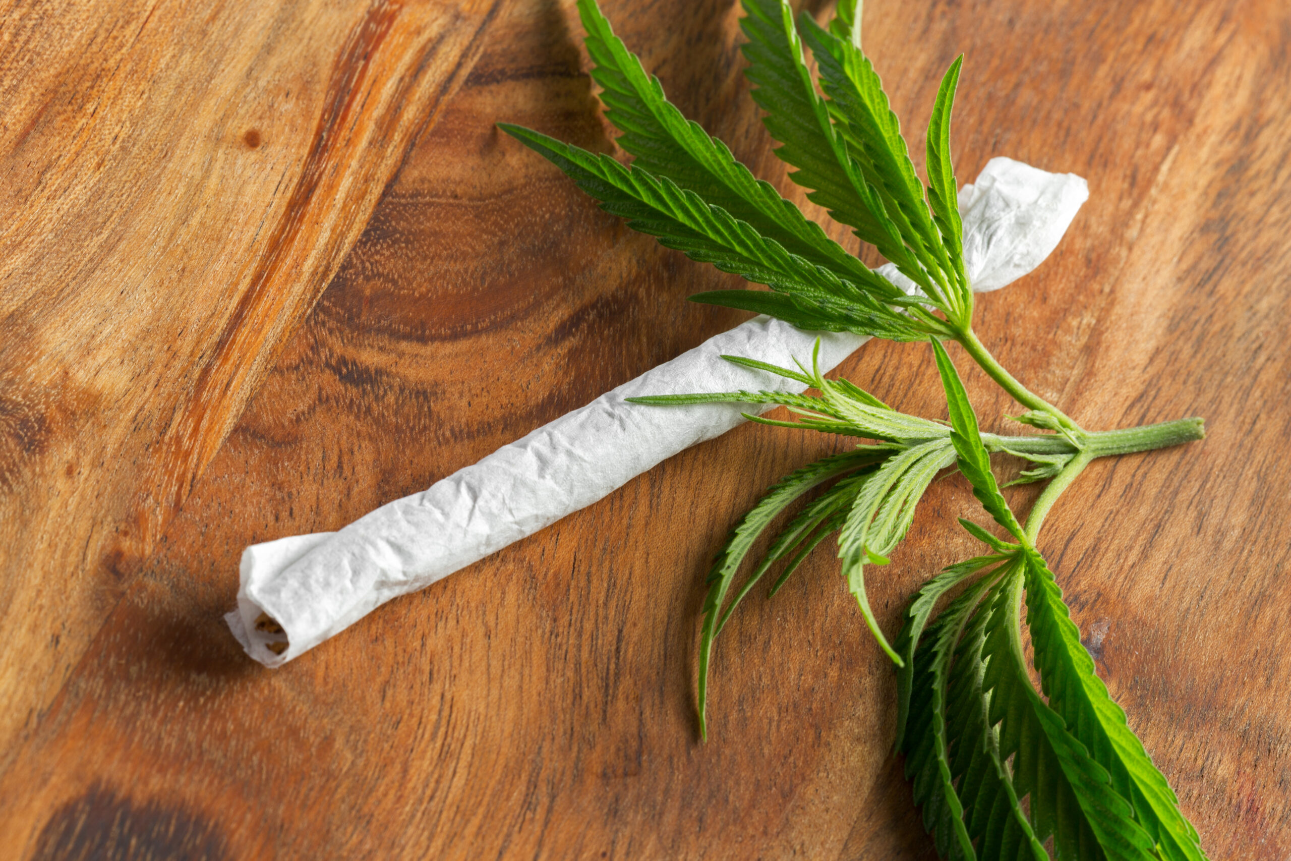 Kiffen für die Gesundheit? – Das steckt tatsächlich hinter medizinischem Cannabis