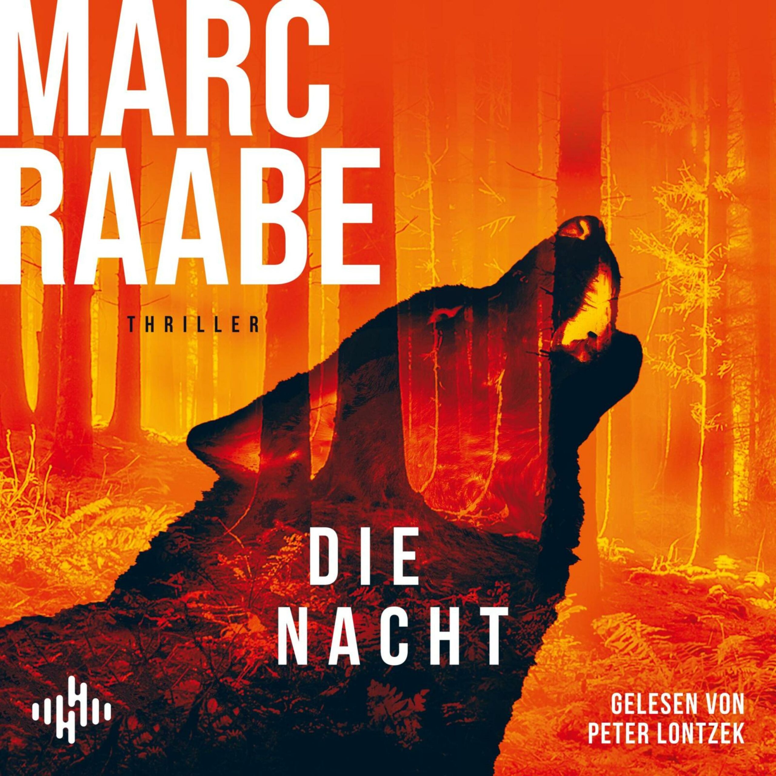 Hörbuch-Tipp: „Die Nacht“ von Marc Raabe – Dritter Fall für den knurrigen BKA-Mann Art Mayer und seine smarte Kollegin Nele Tschaikowski