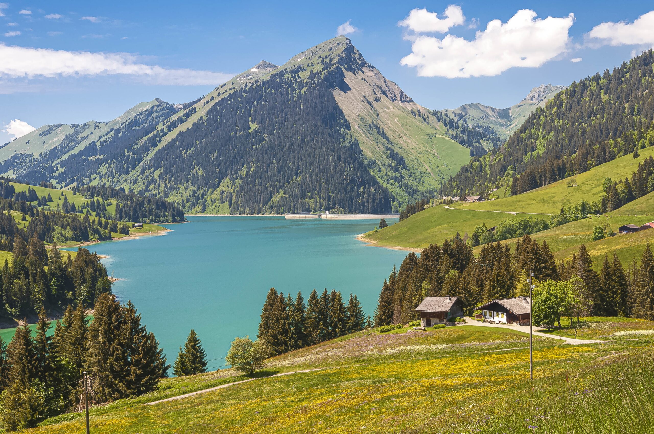Magische Abenteuer und spannende Family Quality Time – Unvergesslicher Familienurlaub im Alpbachtal