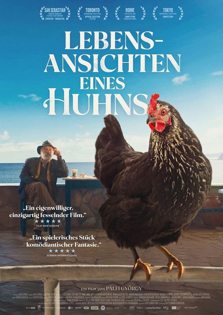 AB 6.8. IM KINO: „Lebensansichten eines Huhns“ – Humorvoll-berührender Film von Hühnern und Menschen